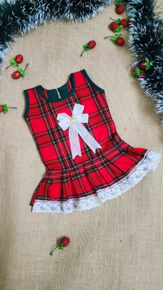 WhatsApp Image 2025-11-20 at 3.28.23 PM (1)